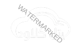 Group 1261154804