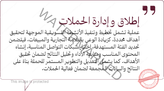 Group 1261155297
