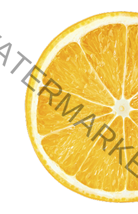 ضاد للمطاعم 11 156 1560071 transparent lemon slice png png download removebg preview 4